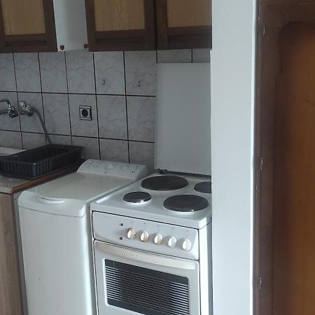 Apartmani Za Exit 2024 Petrovaradin Exteriér fotografie