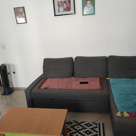 Apartmani Za Exit 2024 Petrovaradin Exteriér fotografie