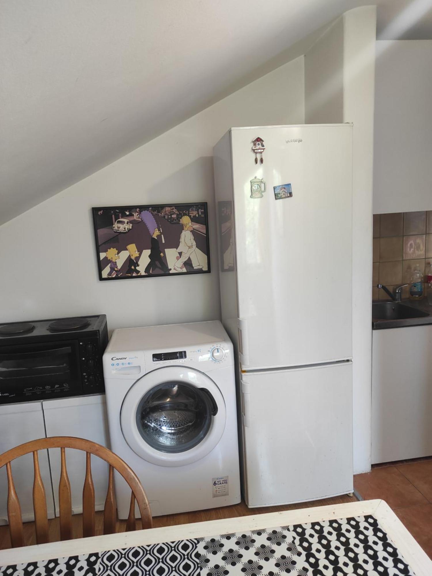 Apartmani Za Exit 2024 Petrovaradin Exteriér fotografie